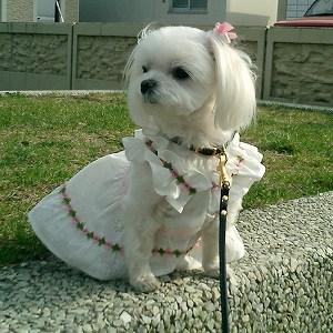 She is
                        Georgeous