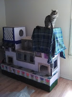 Pepper enjoying his cardboard cat house