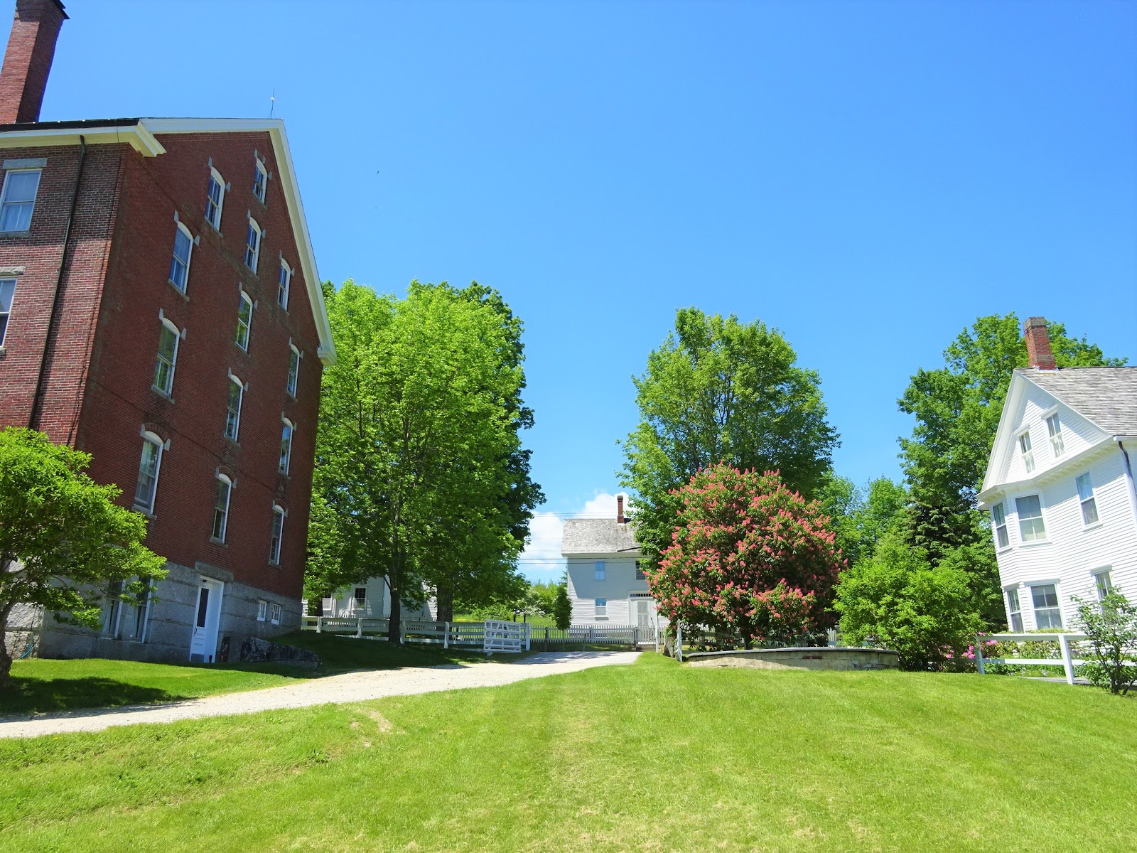 Life From The Roots Sabbathday Lake Shaker Village, New Gloucester, Maine