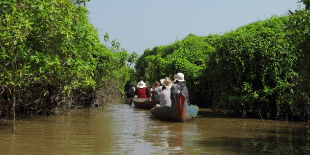 Canoeing through the flooded forests of Kompong Phluk, Cambodia