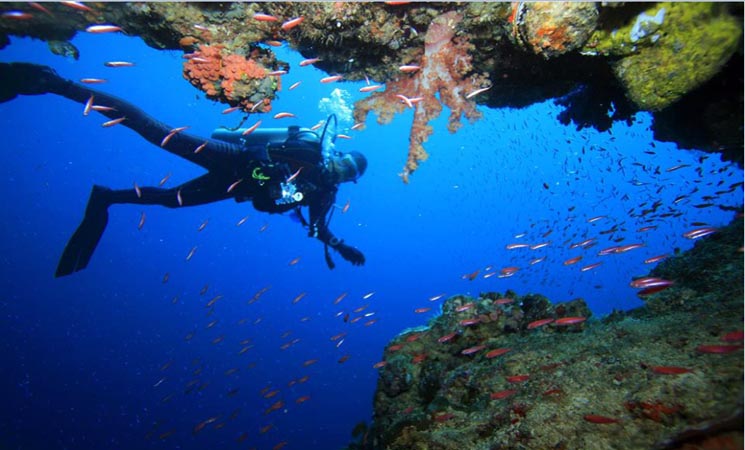 wisata sanana