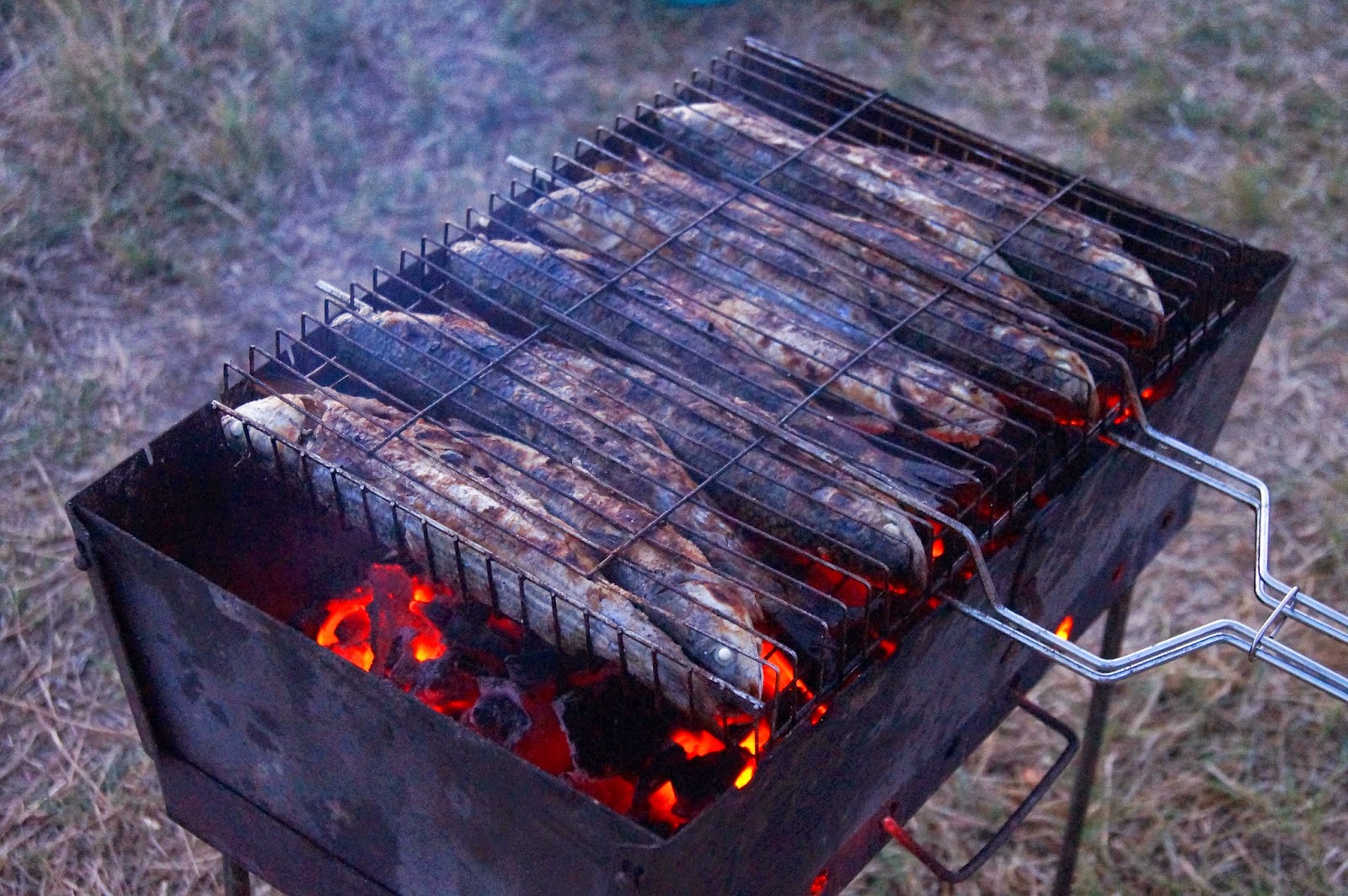 Кефаль на мангале