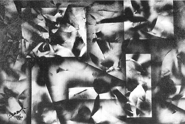 Are all dogs color blind picture