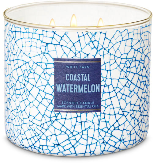 Life Inside the Page Bath & Body Works White Barn Beach House Candle Collection