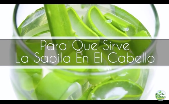 Beneficios de la sabila para el pelo
