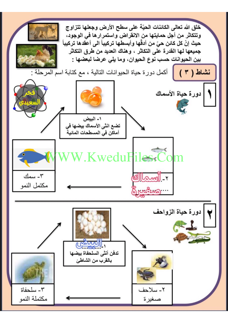 مطوية علوم اول متوسط الفصل الاول