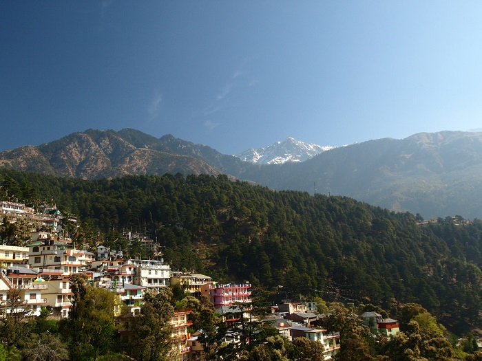 McLeodGanj, Himachal Pradesh A Beautiful hill station near