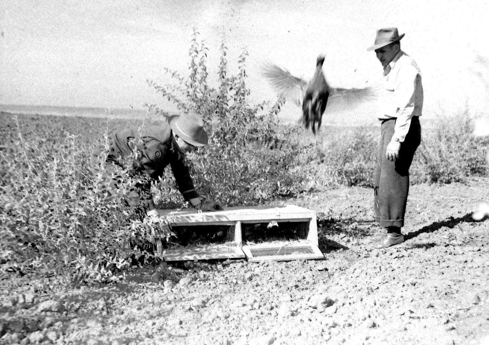 Bygone Walla Walla vintage images of the City and County (and beyond