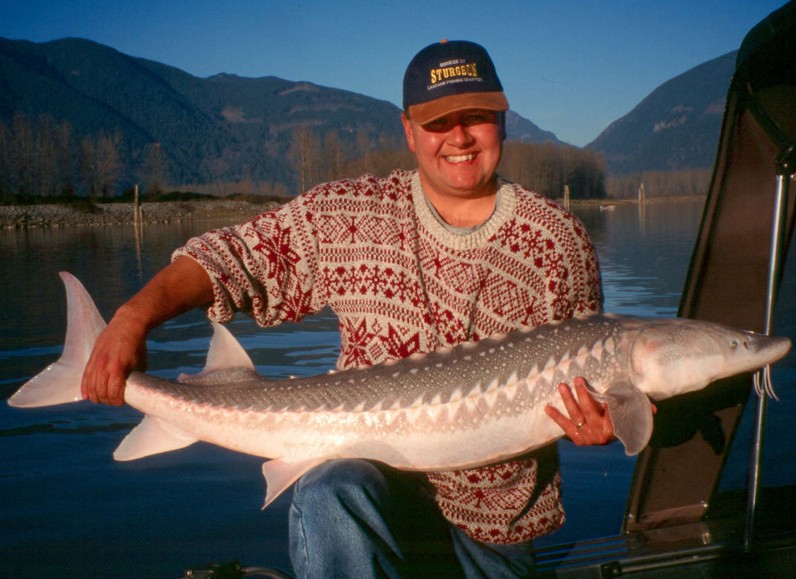 Dangerous and Exotic Fish Giant Sturgeons Part 2