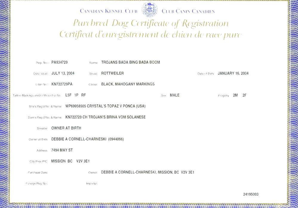 Canadian Kennel Club Ckc Dog Registration