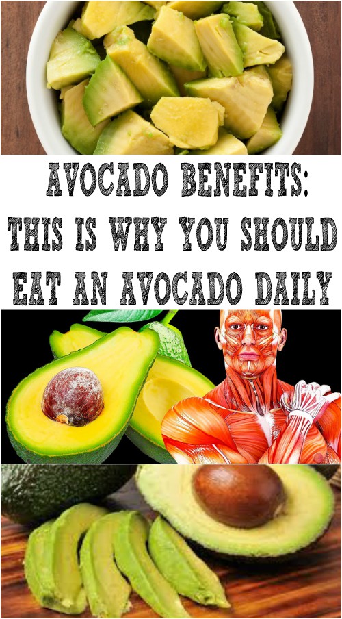 AVOCADO BENEFITS THIS IS WHY YOU SHOULD EAT AN AVOCADO DAILY Health
