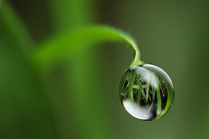 Damn Cool Pictures: Water Droplet Reflections