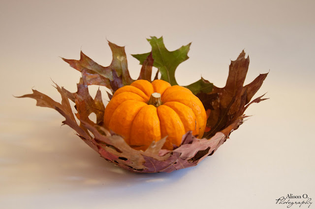 DIY Corbeille en feuilles d'arbre automne
