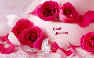rose good morning images good morning picture