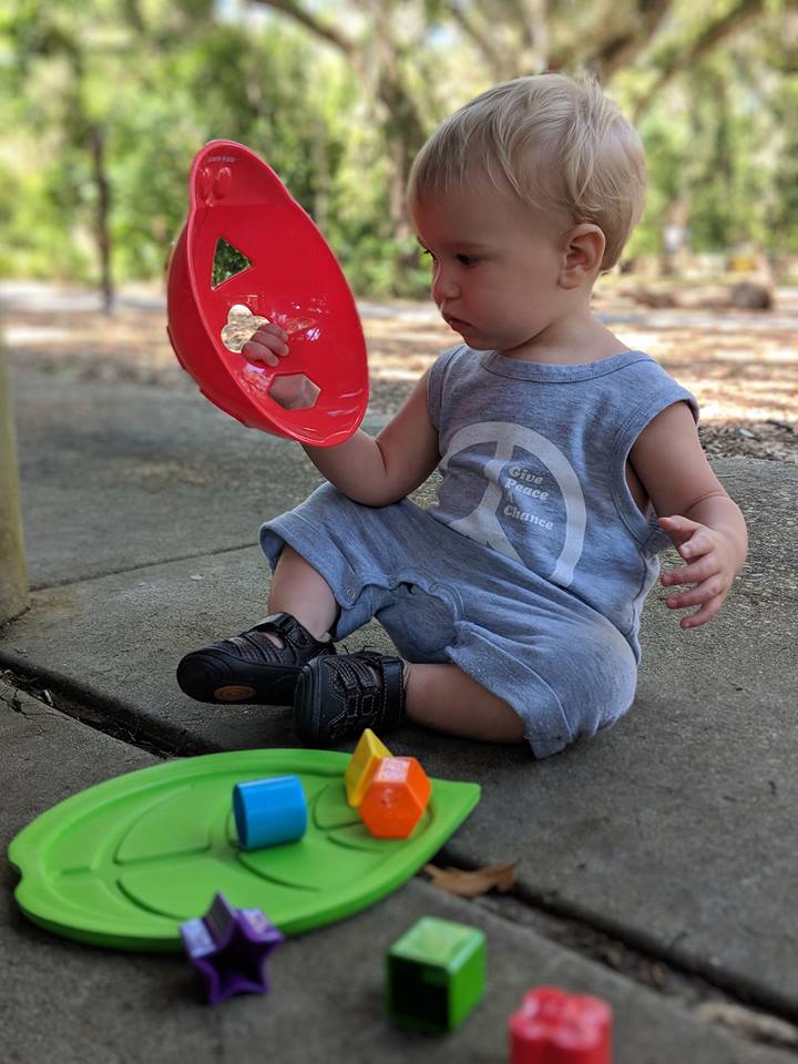 Edushape Ladybug Shape Sorter Toys Enhancing and Encouraging Our