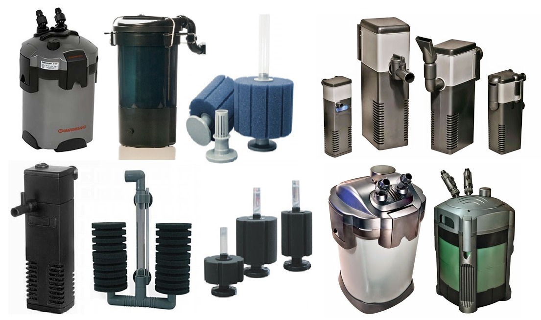 Inilah JenisJenis Filter Aquarium Air Tawar Yang Perlu Anda Ketahui