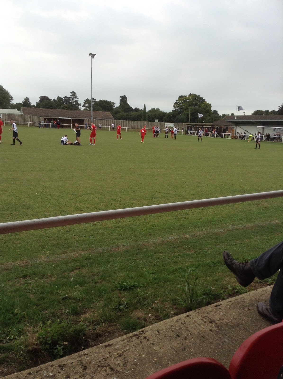 The Tortoise Travels Swaffham Town Shoemakers Lane