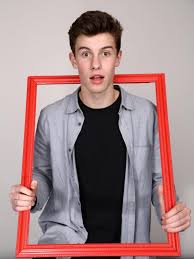 Vinyalfi Biodata Dan Fakta Shawn Mendes Lengkap