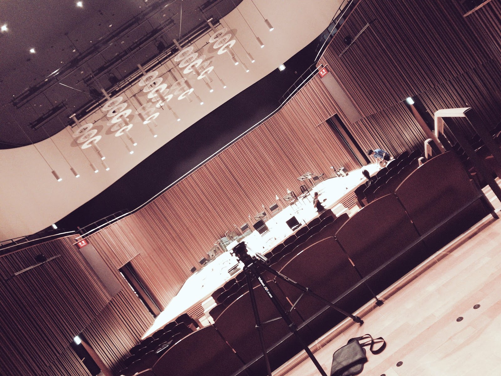 Violinist Yuuki Hashimori Official Blog 17