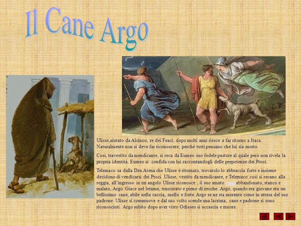 Alla ricerca del meraviglioso Odisseo ed Argo tratto da "E Dio aveva un cane"