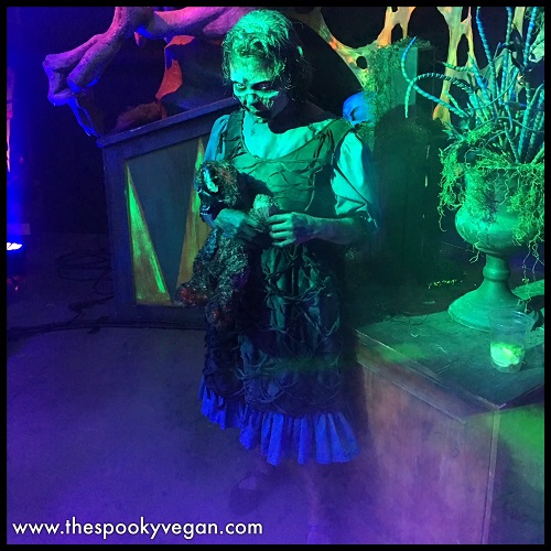 Baren In Haus Garten Die Den Winter Im Haus Vertreiben