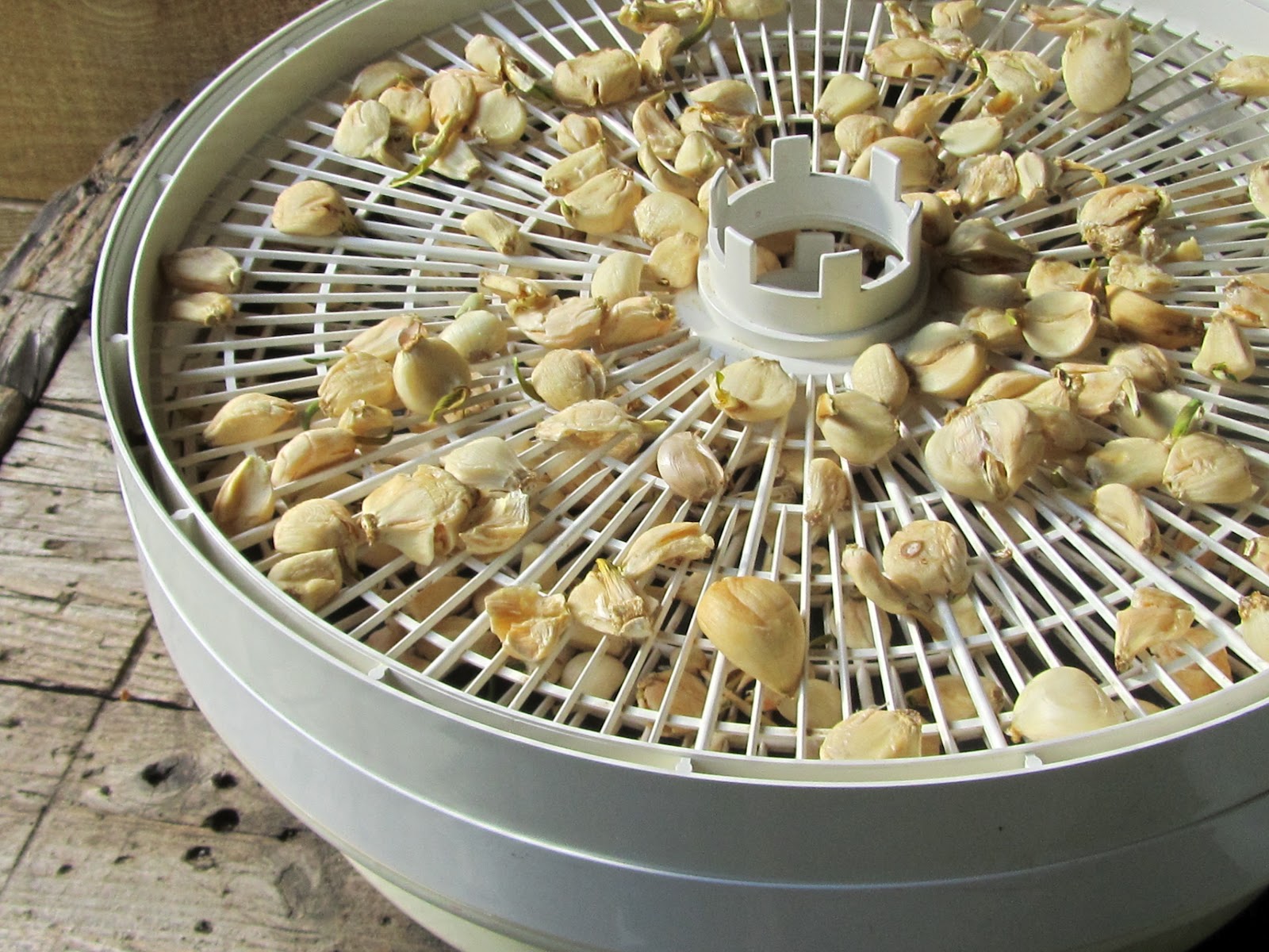 Cedar House Soaps Homemade Garlic PowderGrow it...Dry it...Grind it!