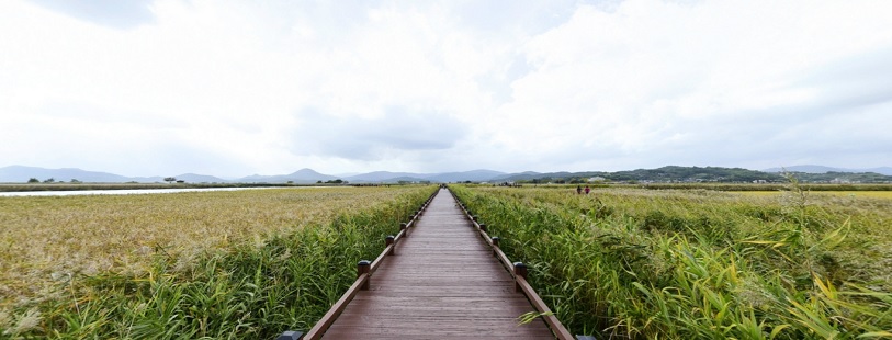사랑의 온도 (Temperature Of Love) : 순천만 갈대길 (Suncheon Bay Reed Walkway) - 네이버 지도 사랑의 온도 (Temperature Of Love) : 순천만 갈대길 (Suncheon Bay Reed Walkway) - 네이버 지도