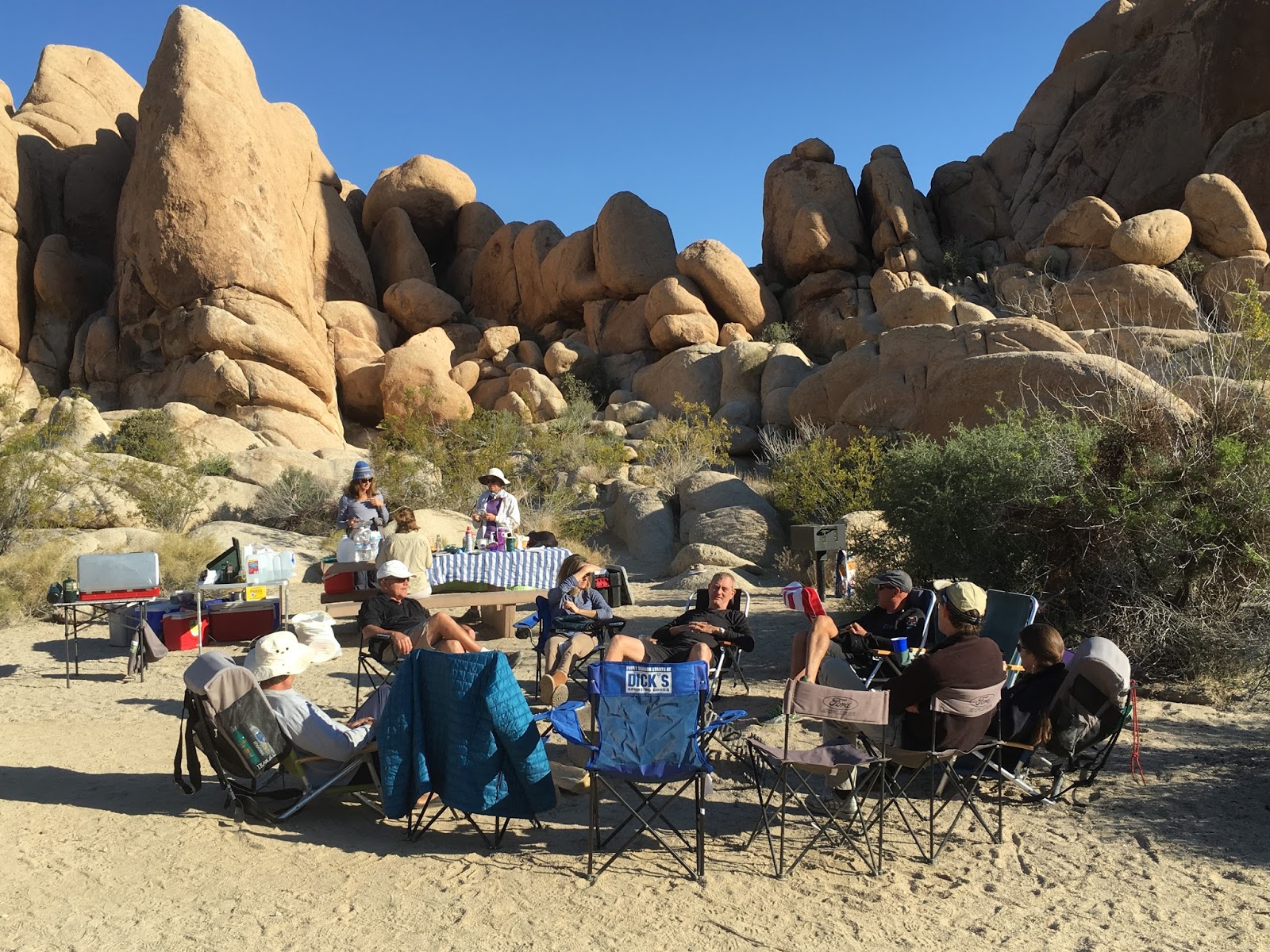 Joshua Tree National Park Tour In One Day Hoffy Tours