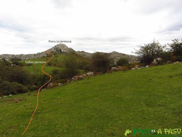 Pradera en Pandelescolines y Collado Jermosa