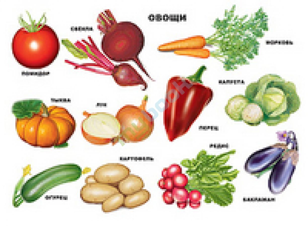 Овощи. Плакат