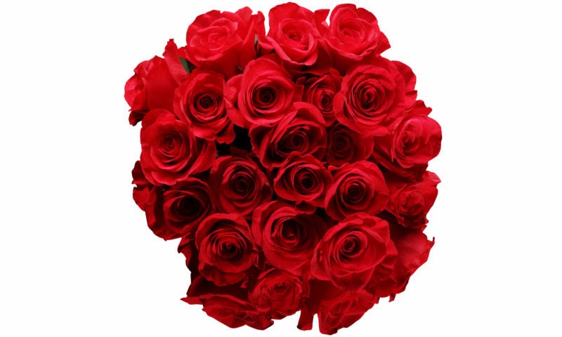 Valentines day quotes valentines day quotes