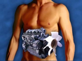 La gente también piden metabolismo anabolismo y catabolismo