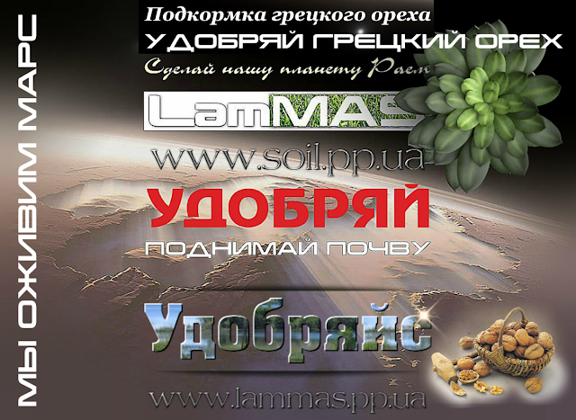 Удобрение для грецкого ореха, 0957351986, 0985674877, Идеал, Кочерженко, Иван Багряный Купить Украина Walnuts Broker Удобрение для грецкого ореха, 0957351986, 0985674877, Идеал, Кочерженко, Иван Багряный Купить Украина Walnuts Broker
