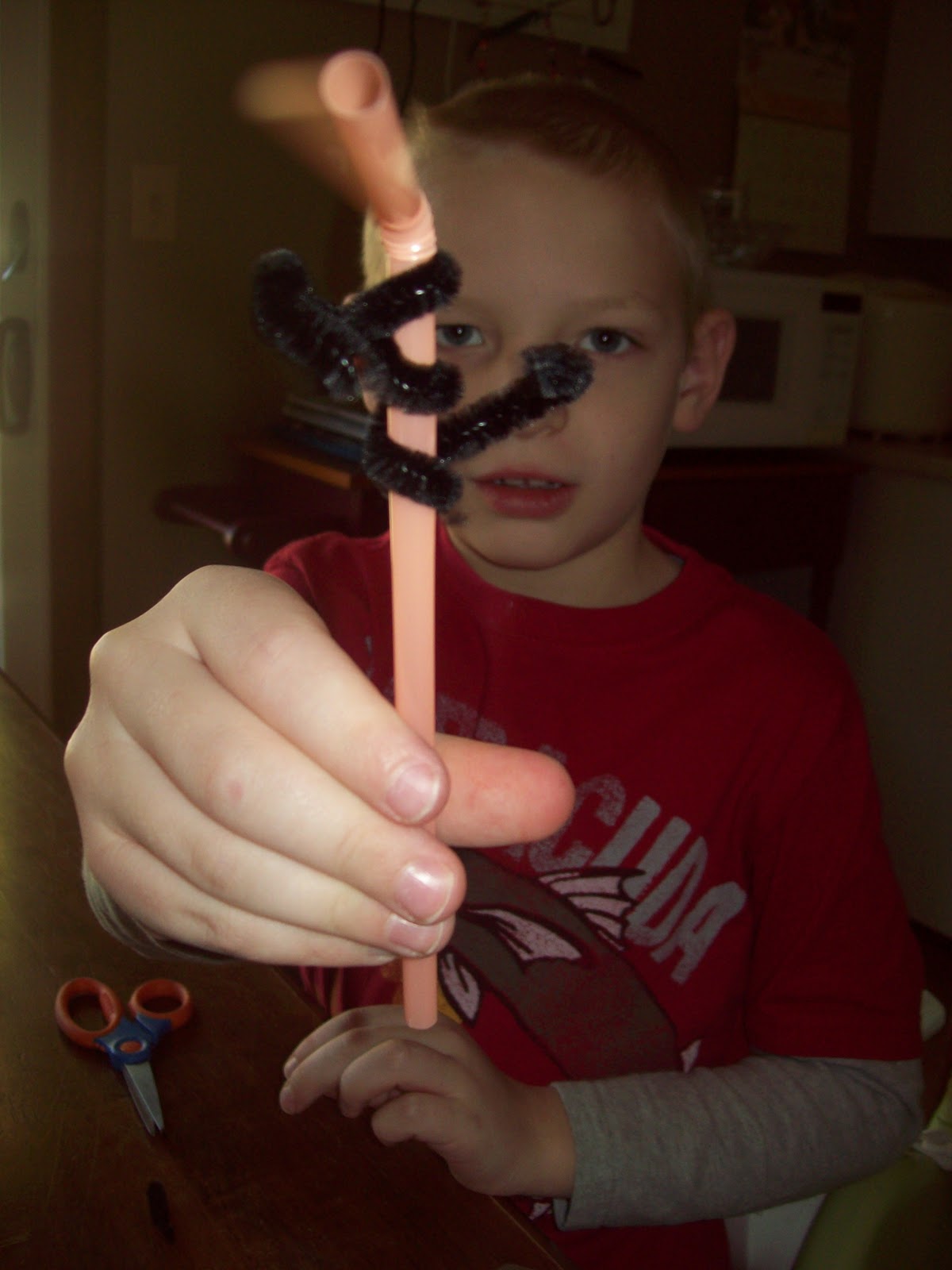 At Home with Allison: Bendy Straws and Fuzzy Sticks
