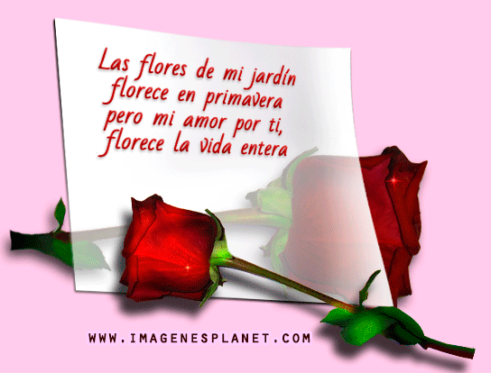 Imágenes hermosas de rosas con frases románticas de amor.