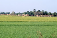 Burkina-rizière