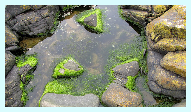 The Glebe Blog: Rocks of Garheugh March 2012