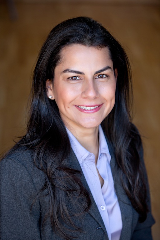 The State of the Union Cousin Runs for Congress