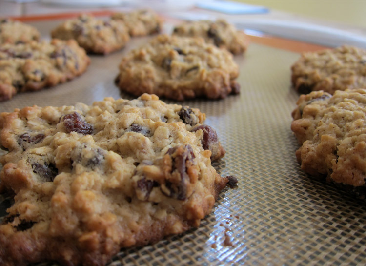 BitsMPieces Old Fashioned Oatmeal Raisin Cookies