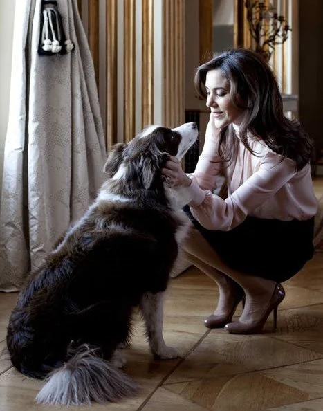 Crown Prince Frederik,  Crown Princess Mary, Prince Christian, Princess Isabella, Prince Vincent, Princess Josephine, Ziggy was a loyal and affectionate dog.