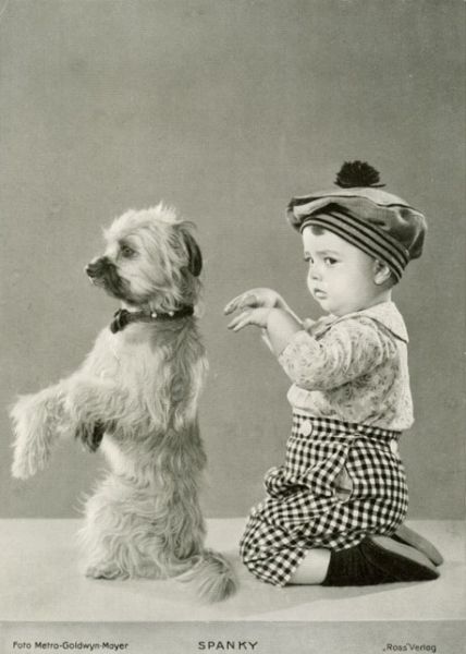Funny Vintage Animal Pics ~ vintage everyday