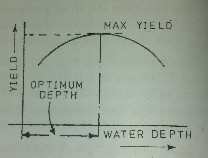 Efficiency of water conveyance