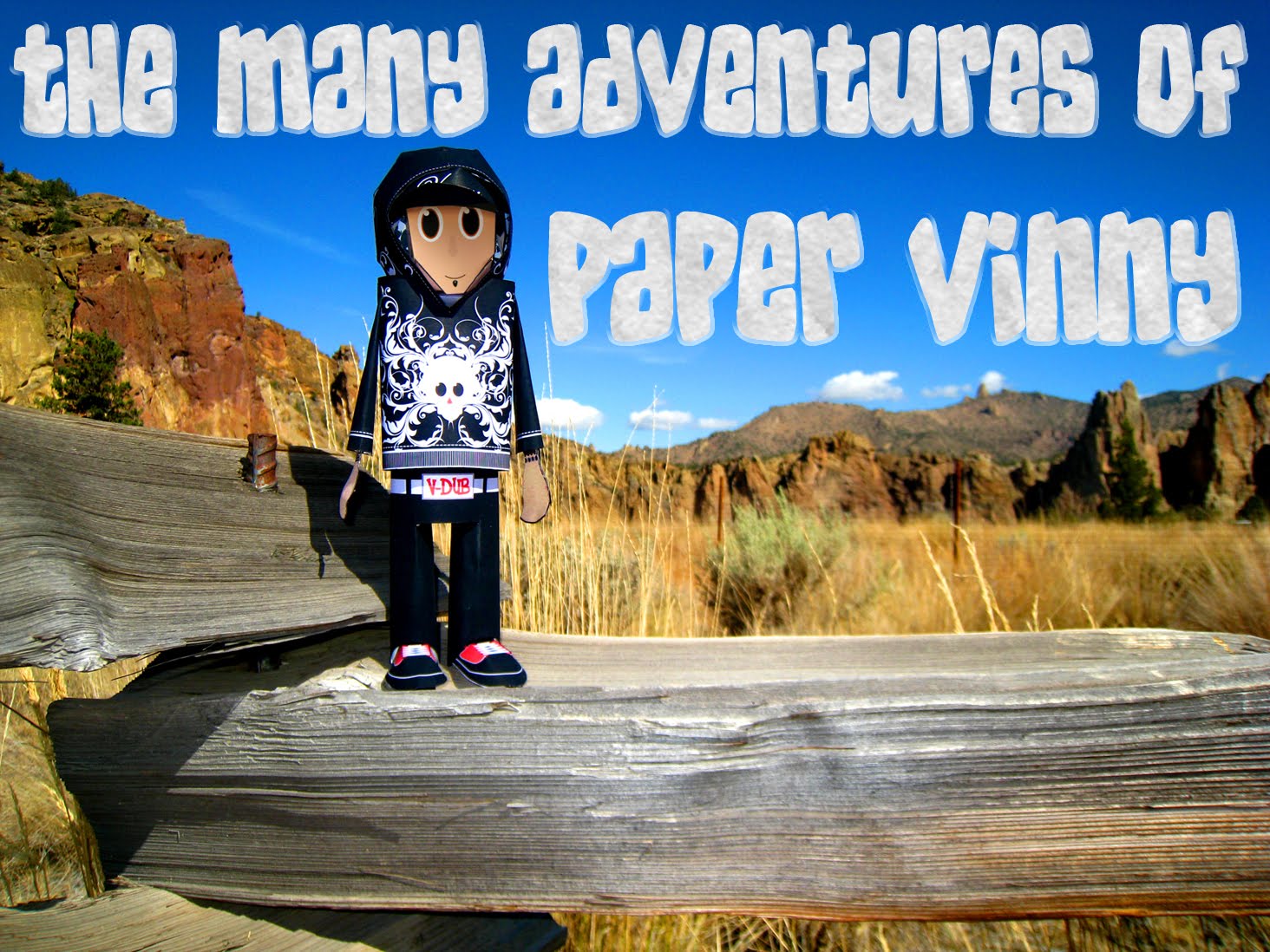The Many Adventures Of                                                                  Paper Vinny