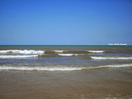 Las preguntas son éstas: