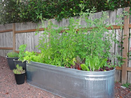 Galvanized Water Tank, Trough For Garden