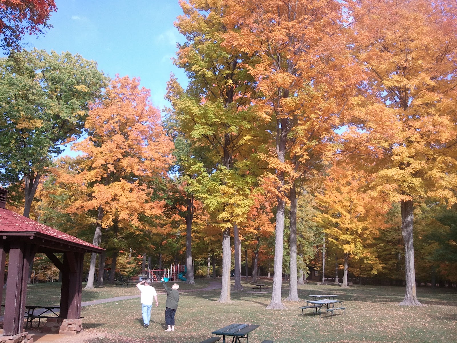 Amiklodge WeekEnd Camping at Big Eau Pleine Reservior