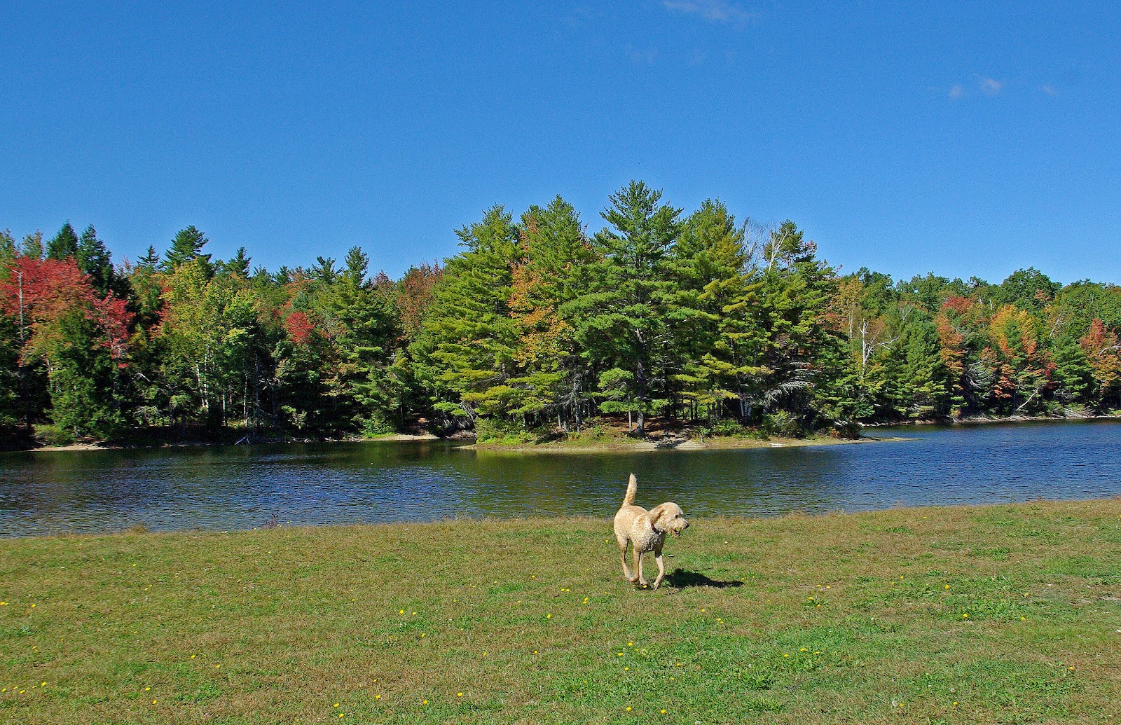 Hiking in Maine with Kelley 9/27/12 Hallowell Recreation Trails and