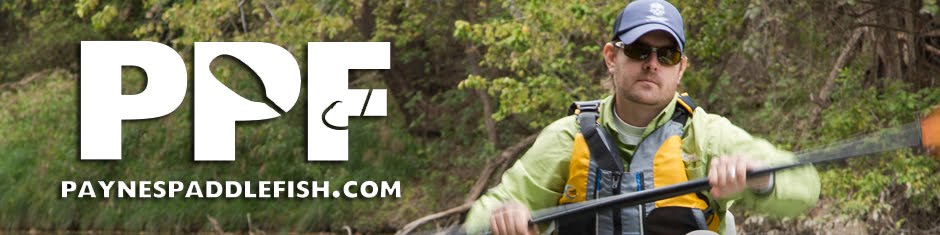 Chris Payne's Paddle Fish