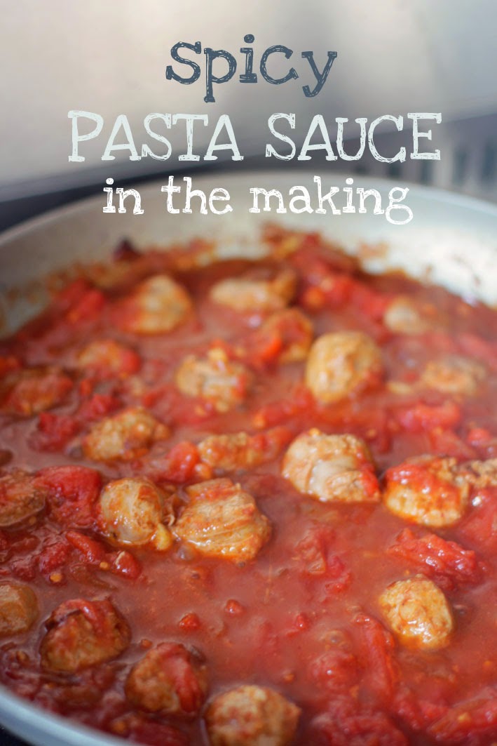 Elma's Kitchen Spicy Sausage Pasta Sauce