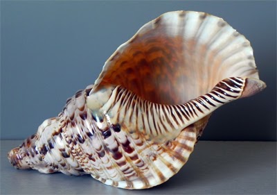 Música: La música en la Prehistoria